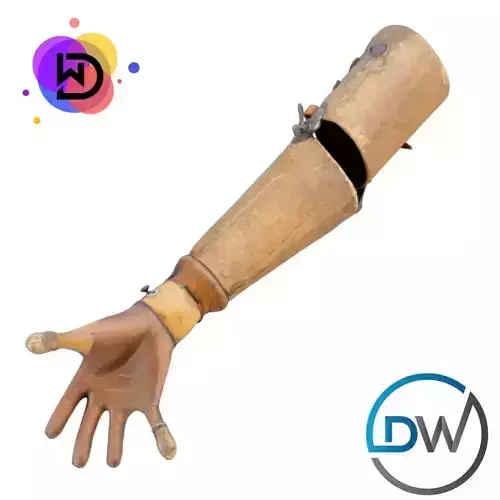 Artificial Arm 3D model