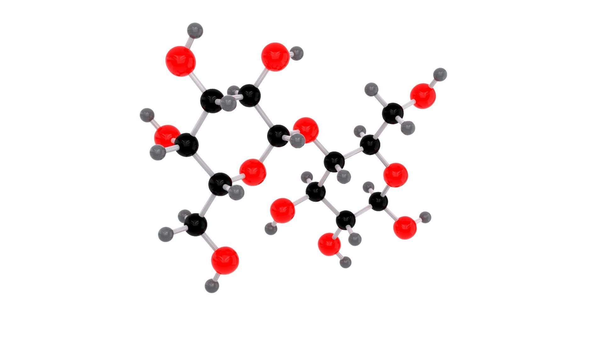 Lactose - Molecule 3D model_2