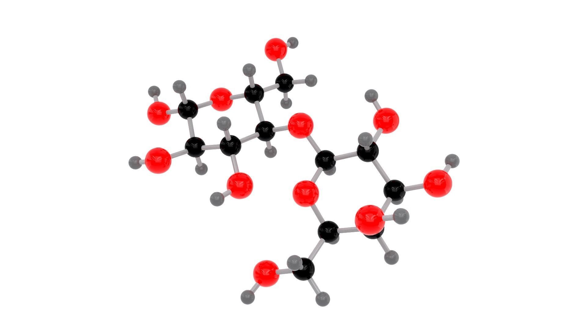 Lactose - Molecule 3D model_1