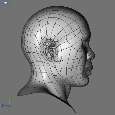 Samuel free Free 3D model_6