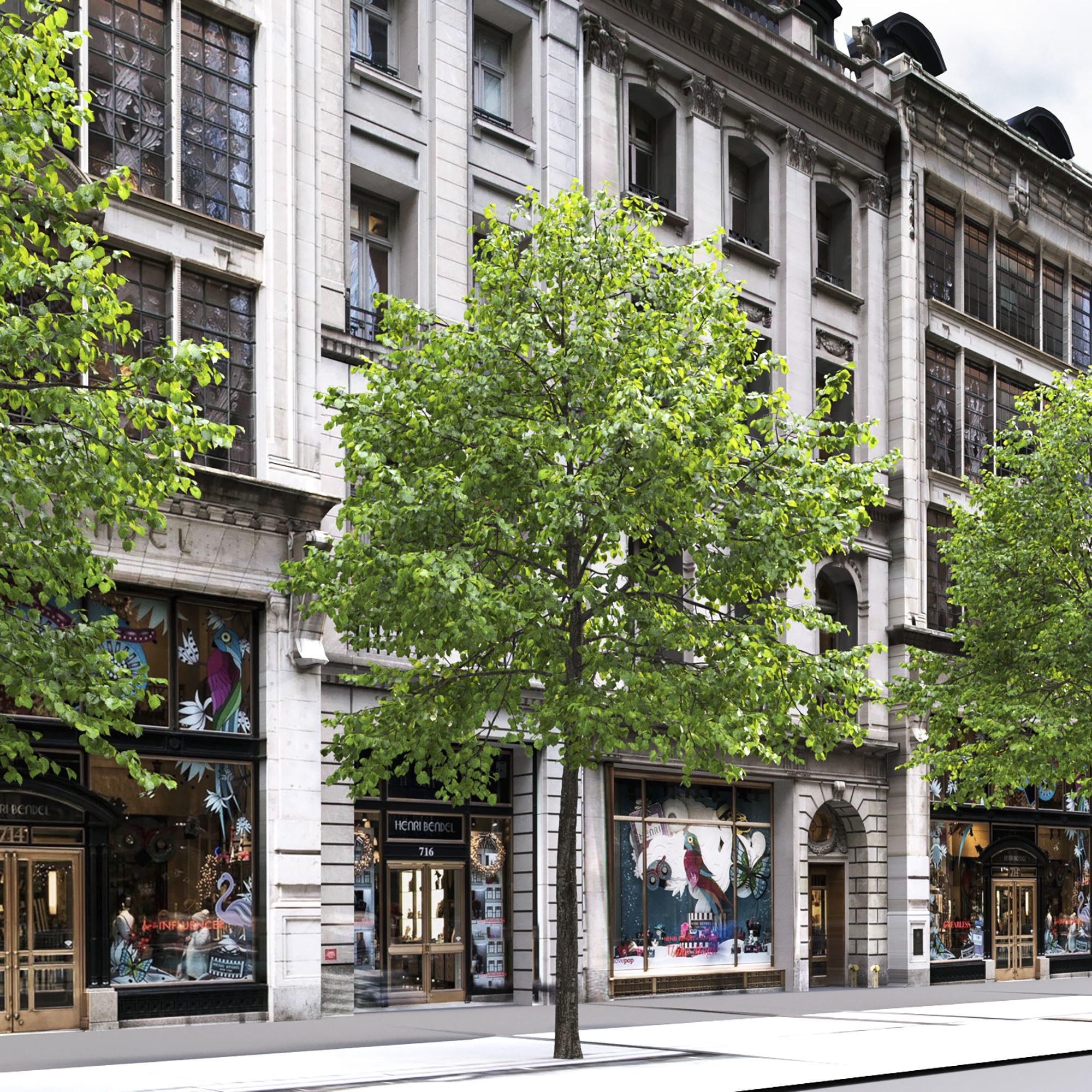 Tilia 09 10 3D model_6