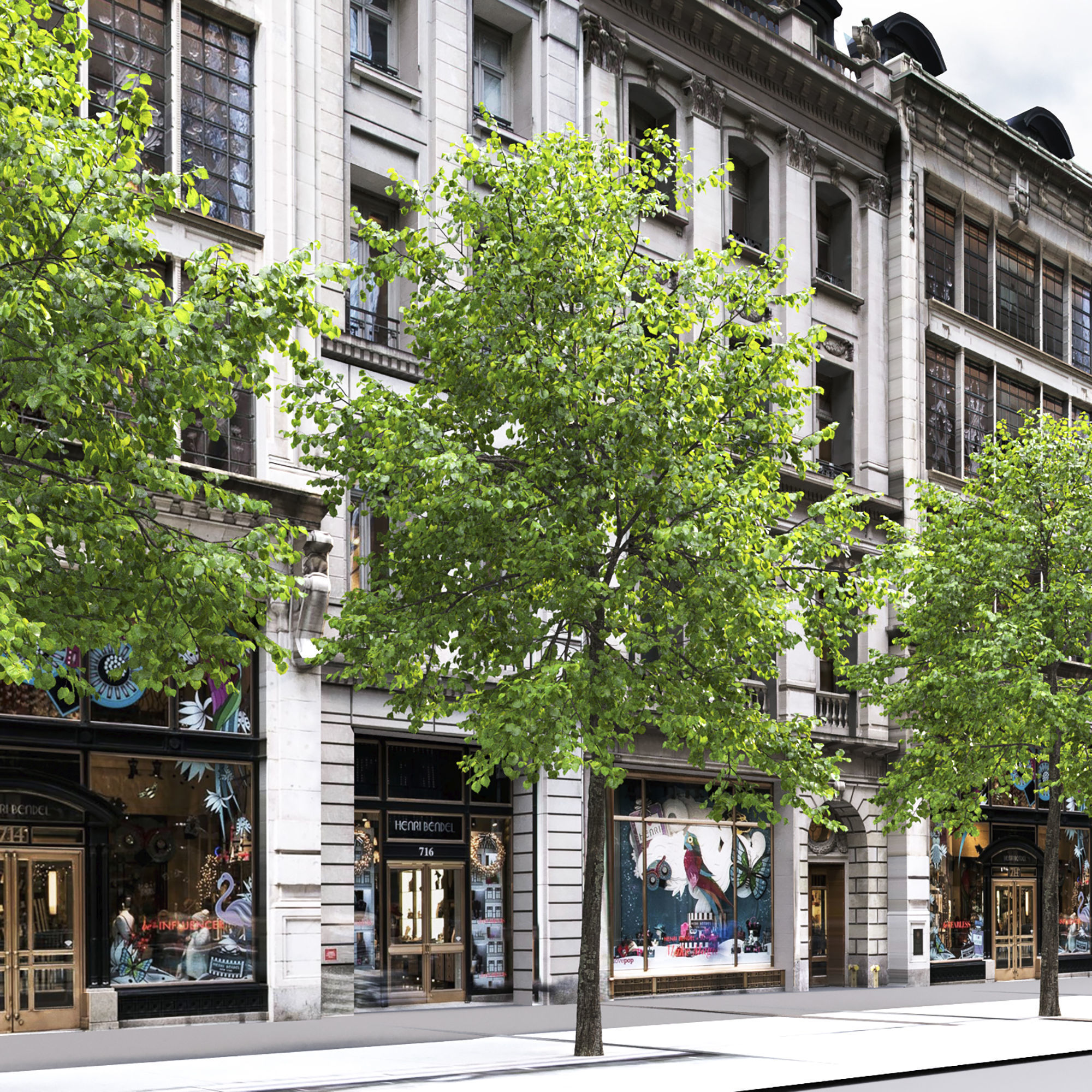 Tilia 09 10 3D model_7