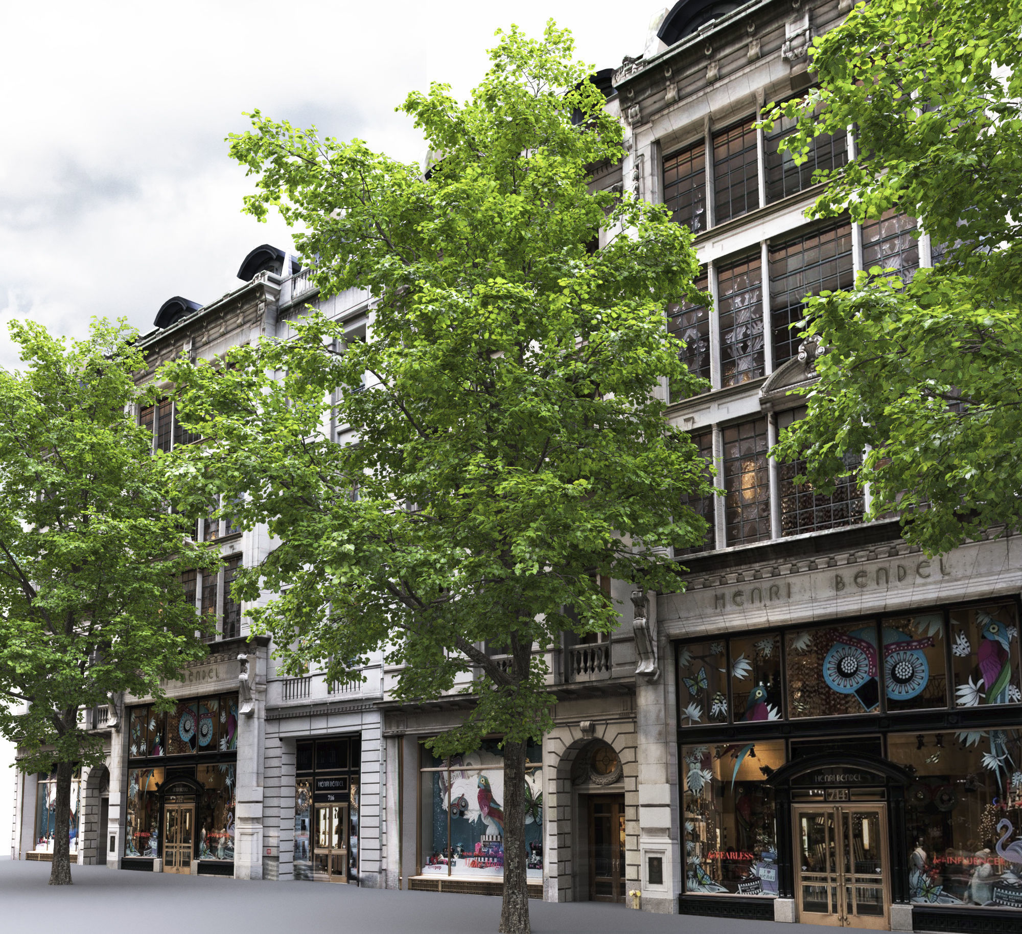 TiliaA 13 3D model_5