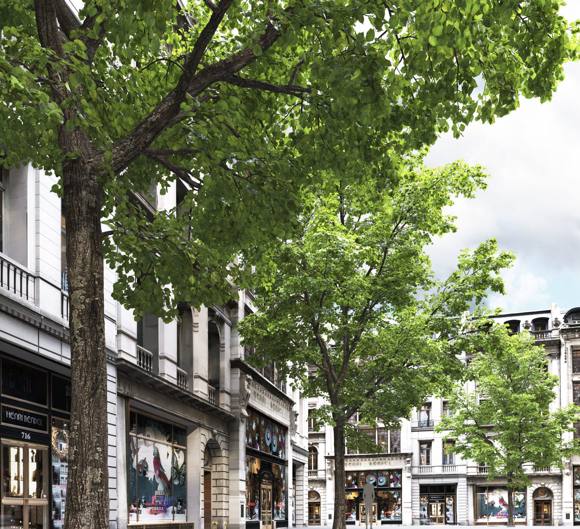 TiliaA 13 3D model_4