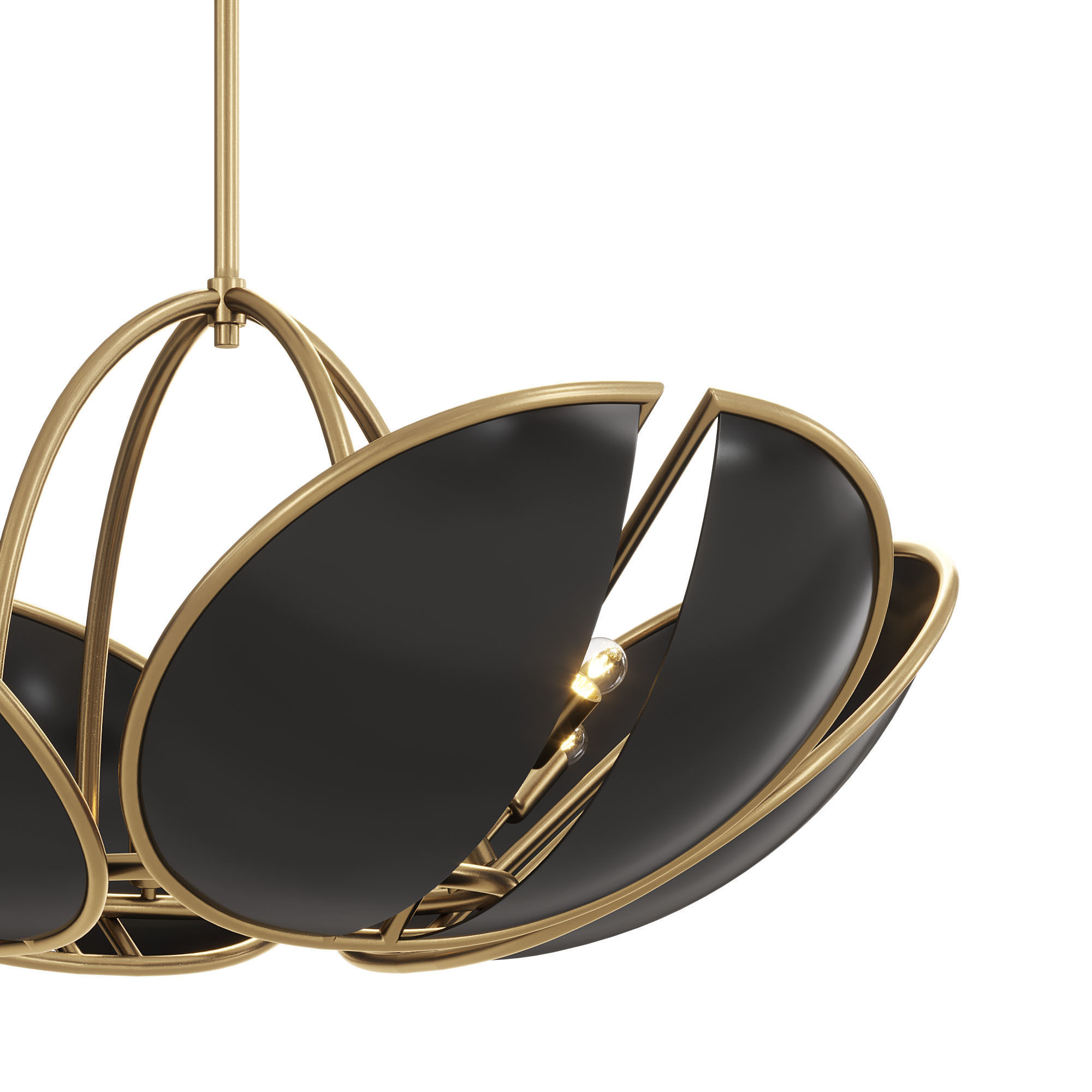 Beetle Lamp 3D model_1