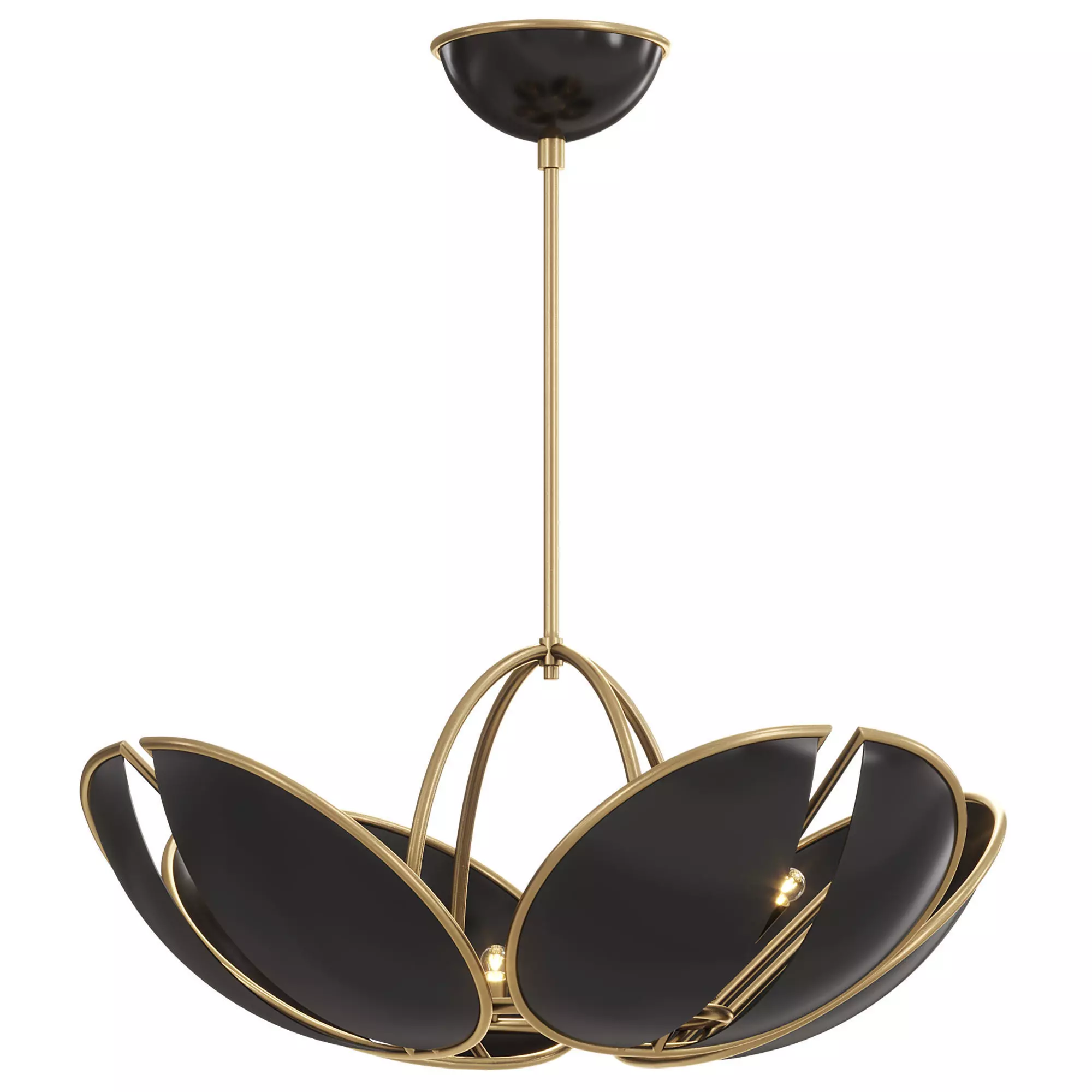 Beetle Lamp 3D model_0