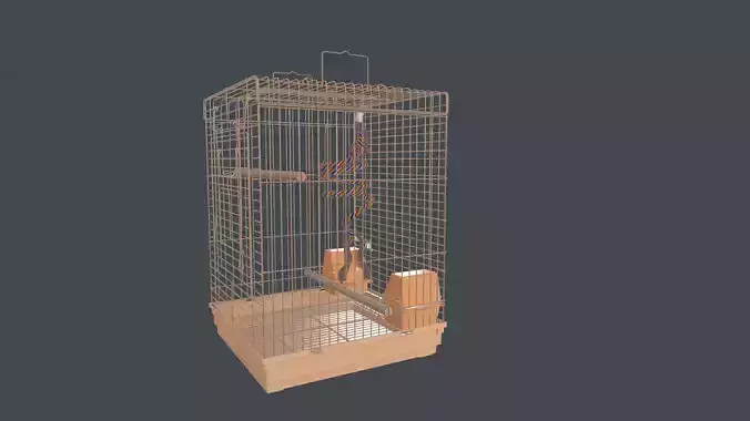 Bird Cage