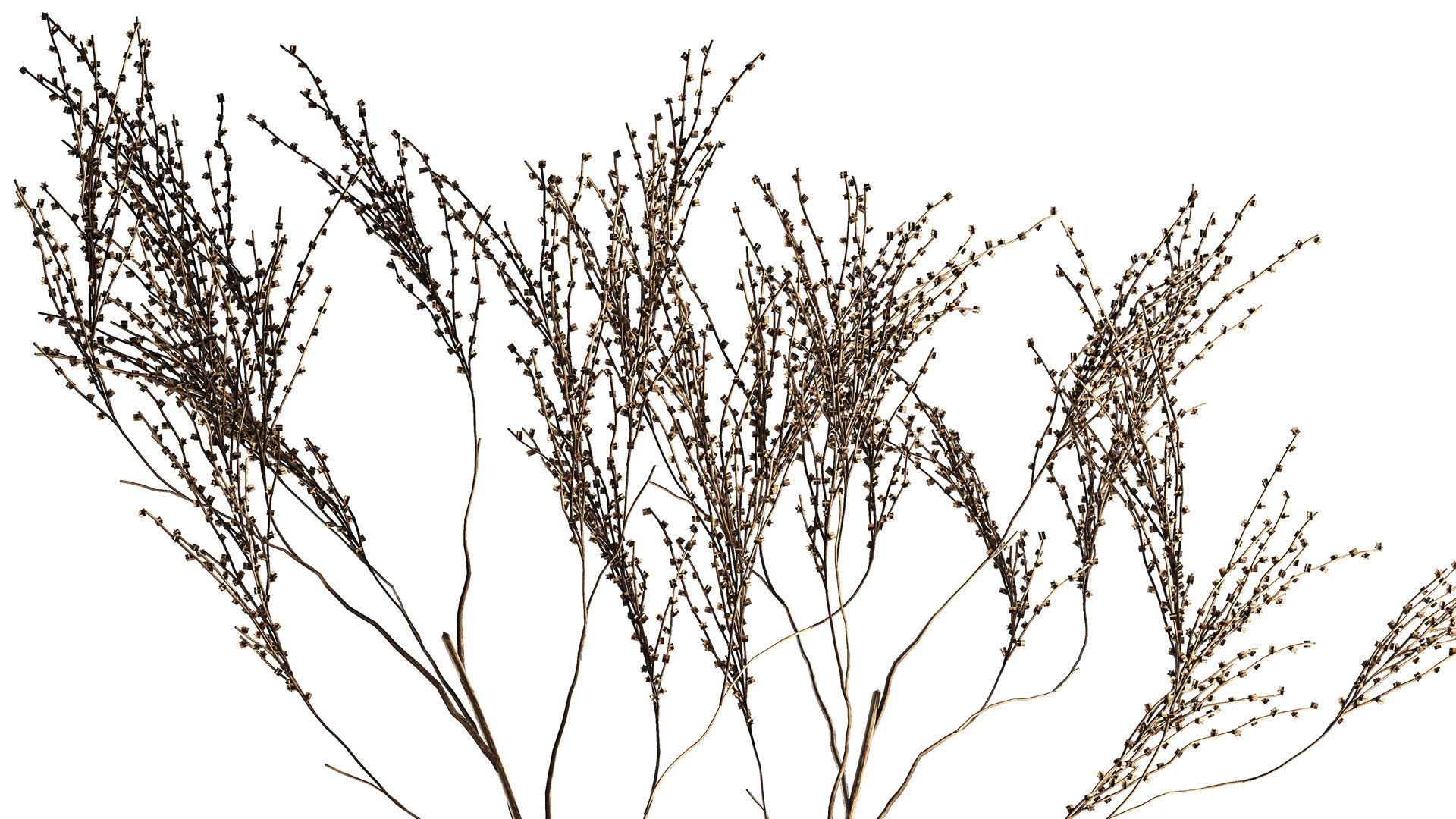 Minimalistic Bouquet Of Dry Branches In A Vase 315 3D model_3