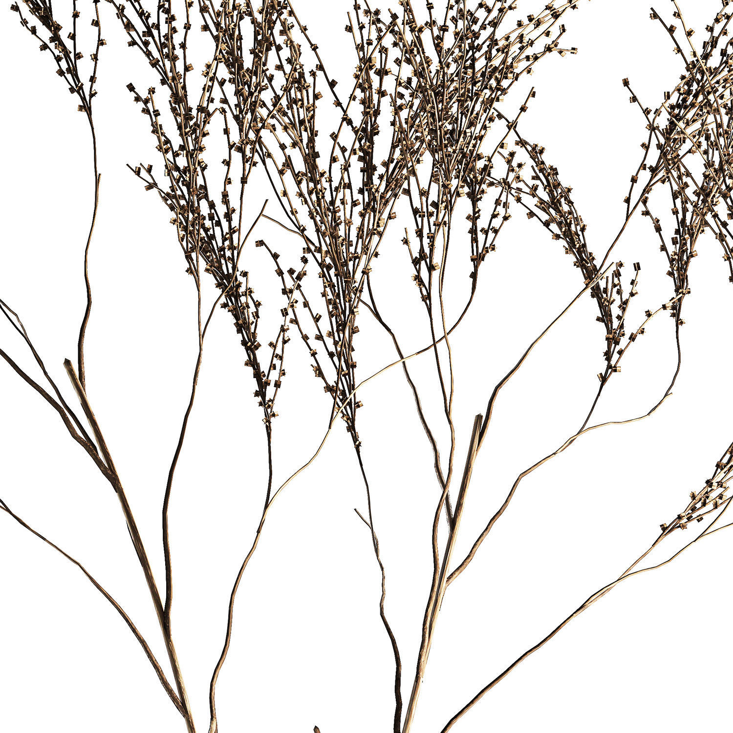 Minimalistic Bouquet Of Dry Branches In A Vase 315 3D model_11