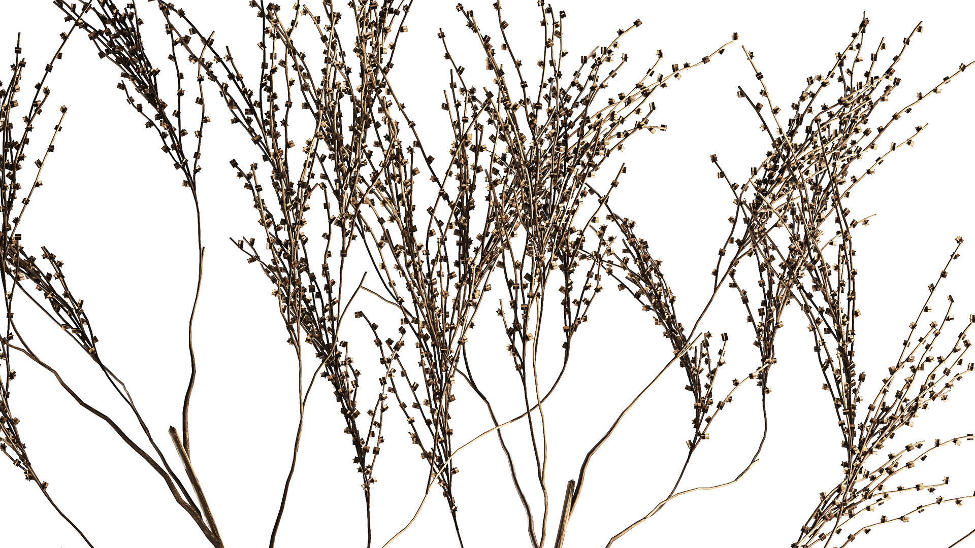 Minimalistic Bouquet Of Dry Branches In A Vase 315 3D model_4