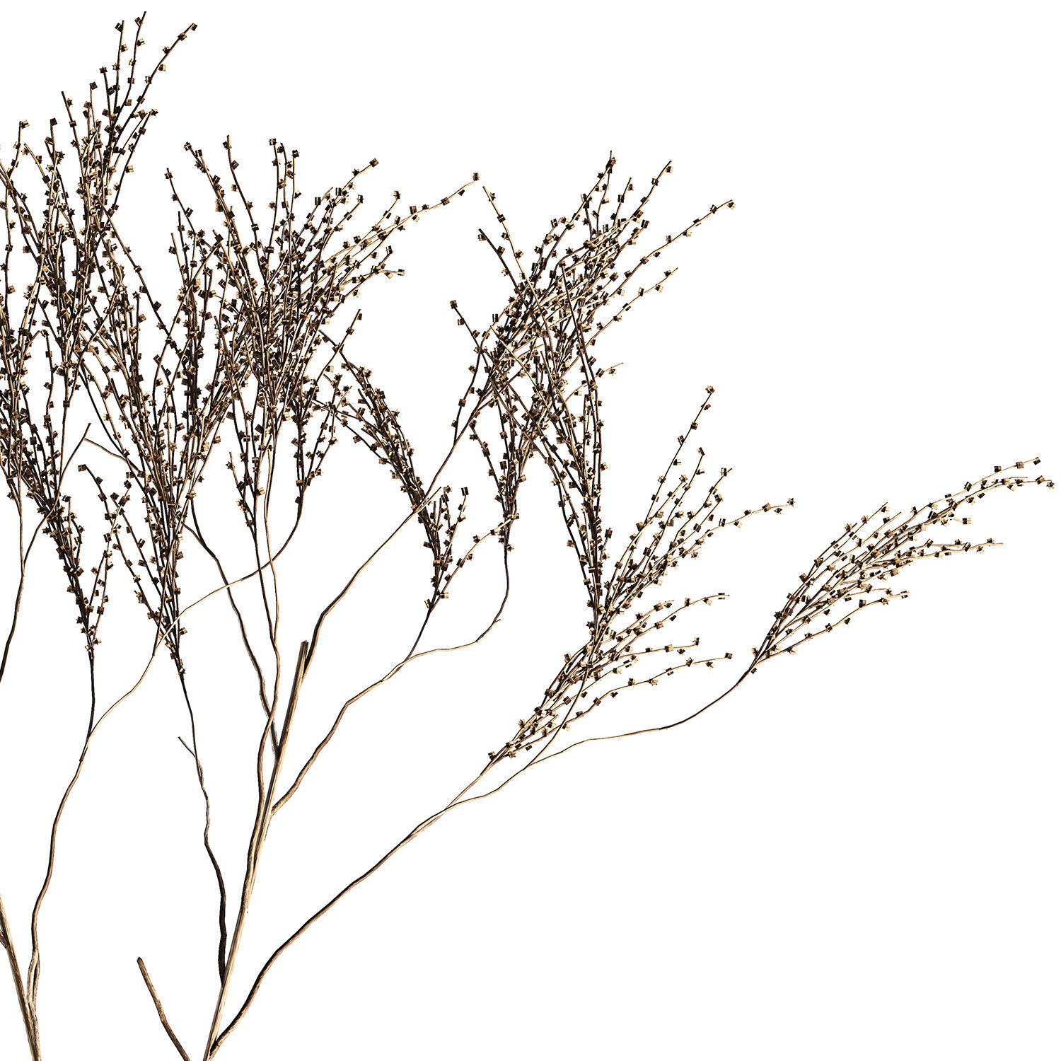 Minimalistic Bouquet Of Dry Branches In A Vase 315 3D model_8
