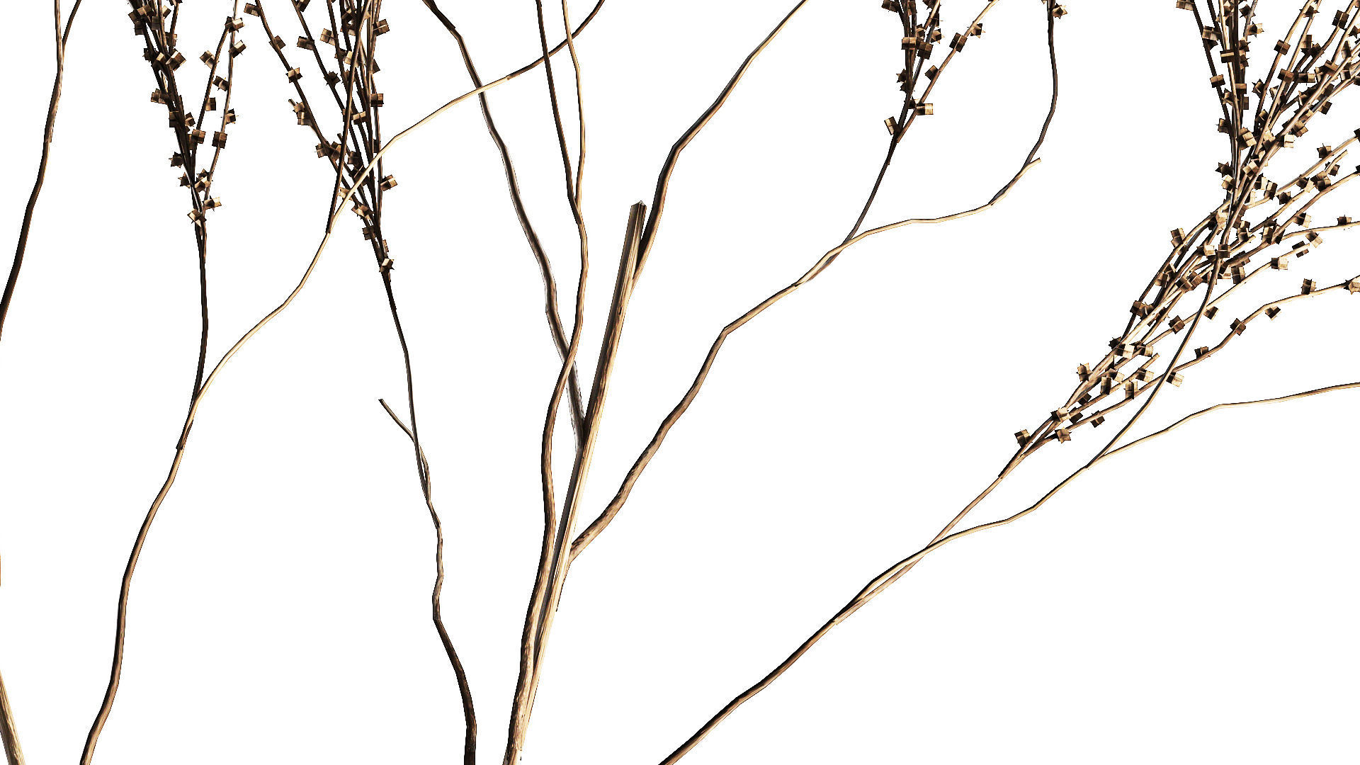 Minimalistic Bouquet Of Dry Branches In A Vase 315 3D model_5