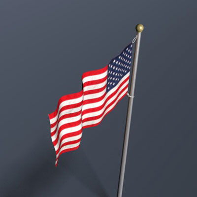 American Flag 3D model_3