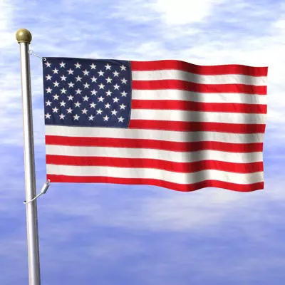 American Flag 3D model_0