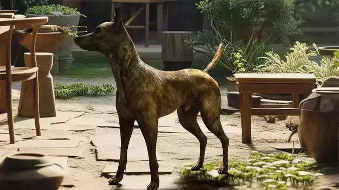 Coyote dog Low-poly 3D model