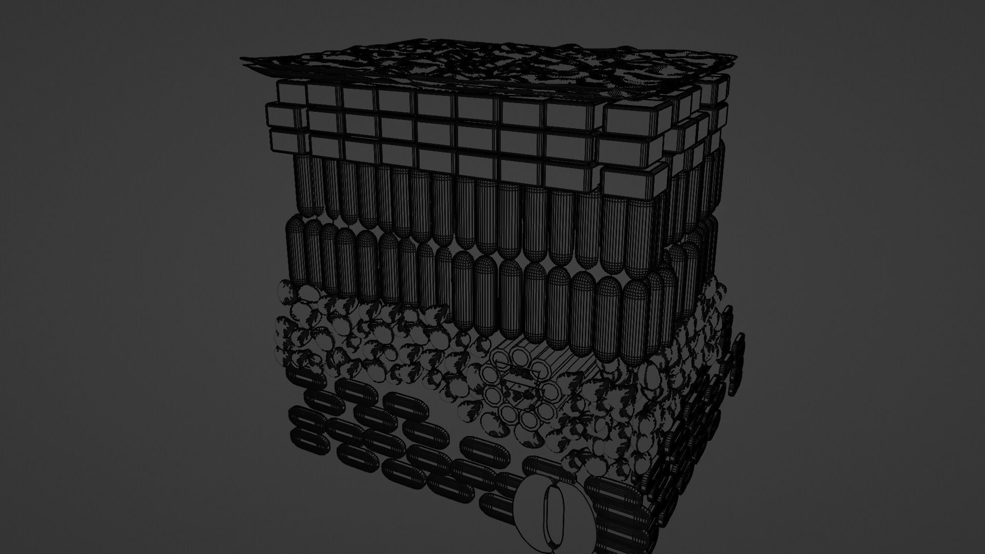 Cross section of leaf 3D model_6