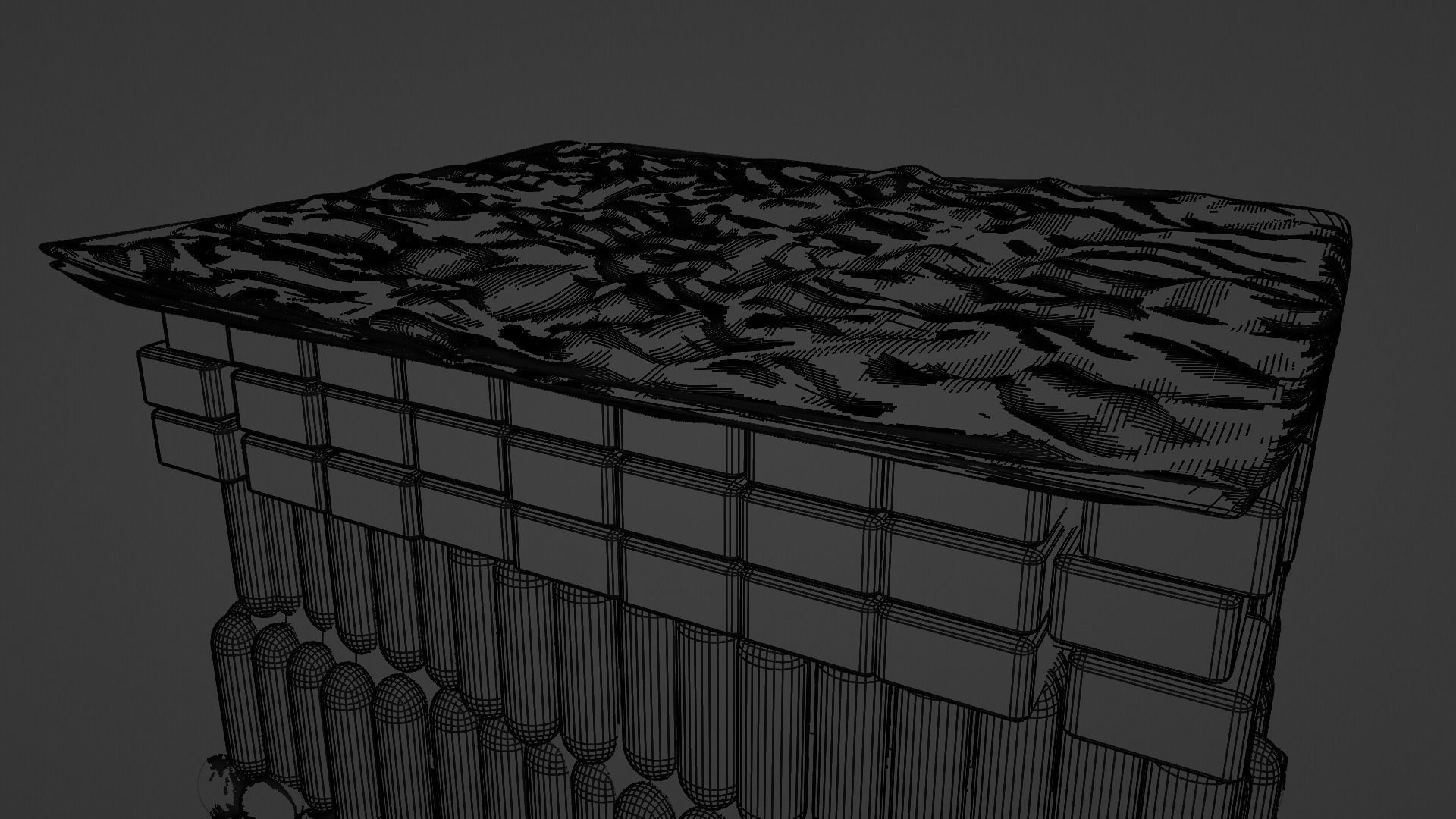 Cross section of leaf 3D model_7