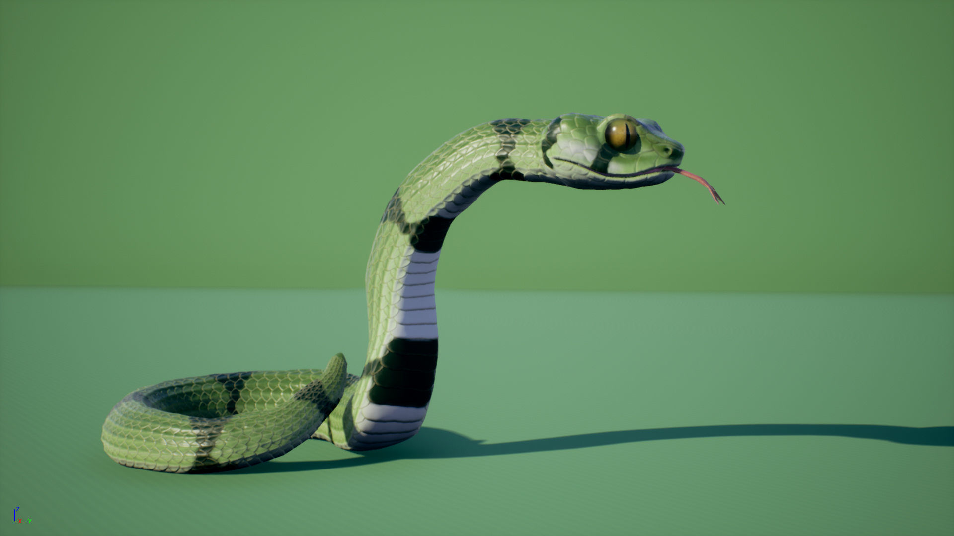 Snake stylized Low-poly 3D model_3