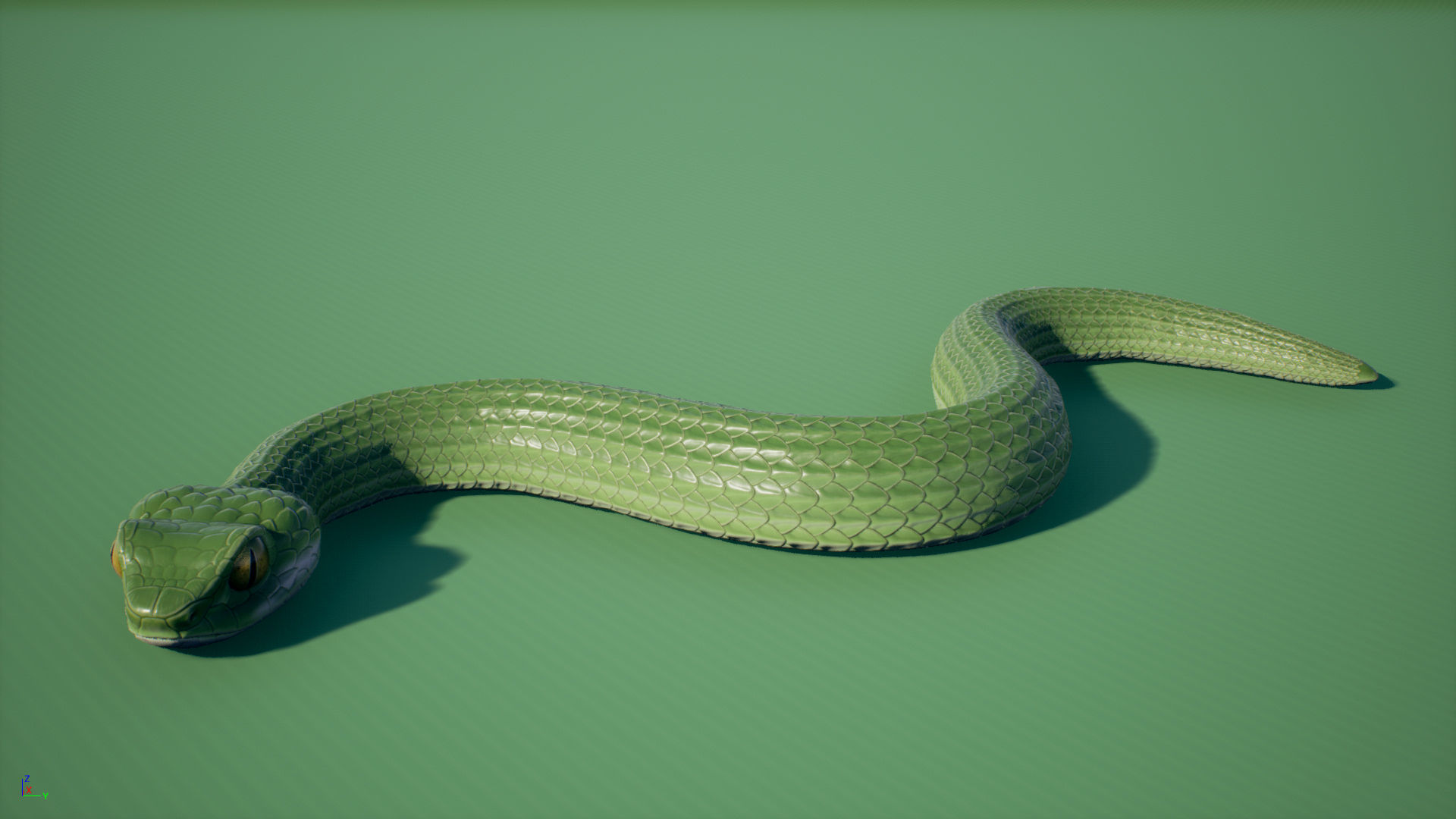 Snake stylized Low-poly 3D model_2