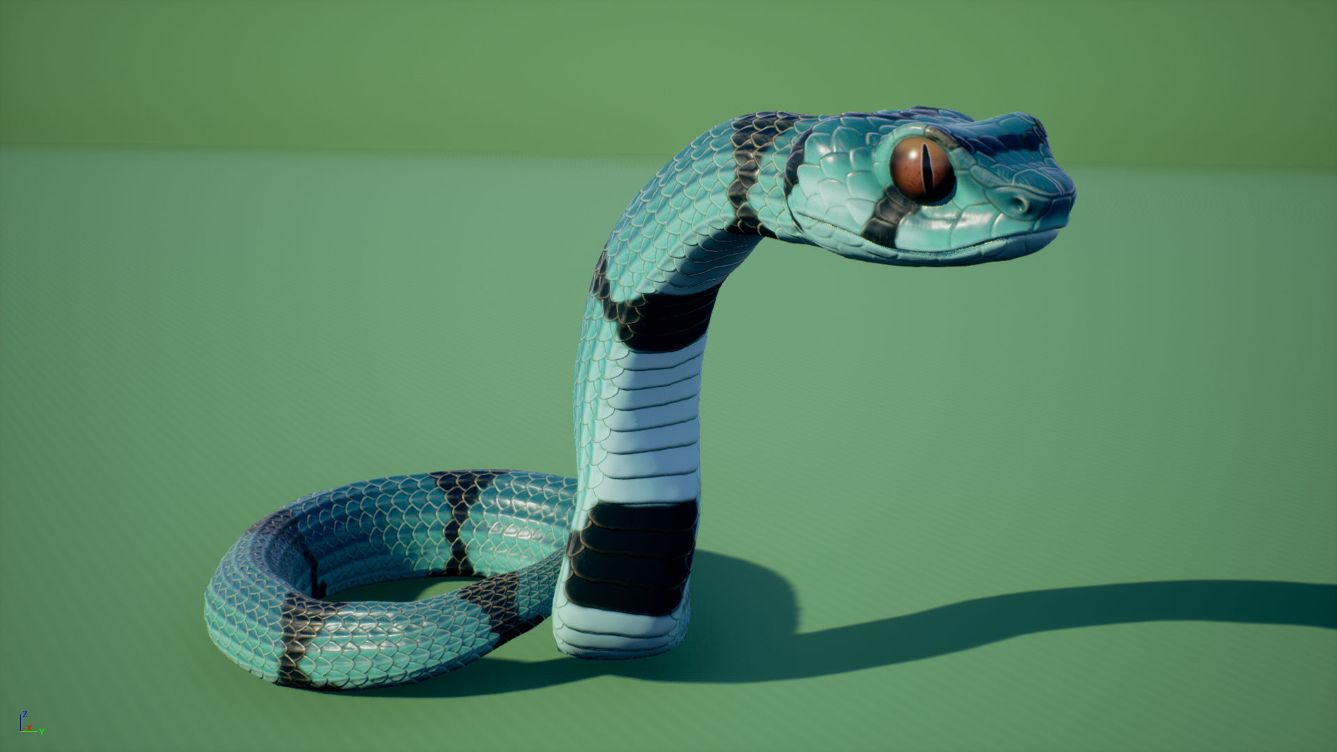 Snake stylized Low-poly 3D model_4