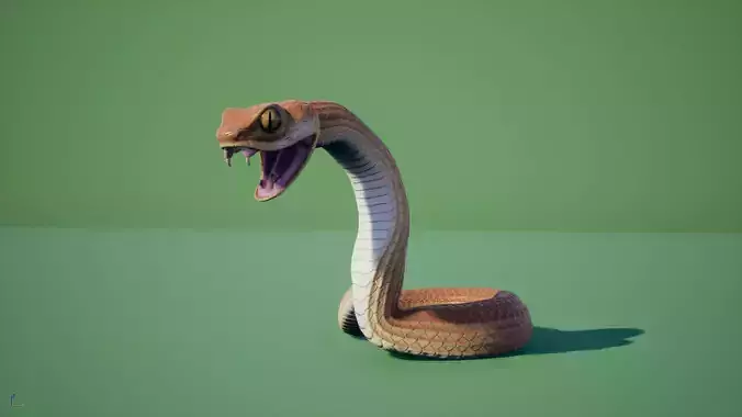 Snake stylized Low-poly 3D model