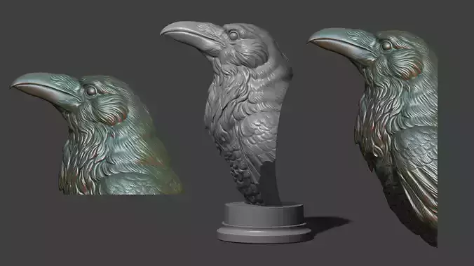 Raven head bust 3D print model