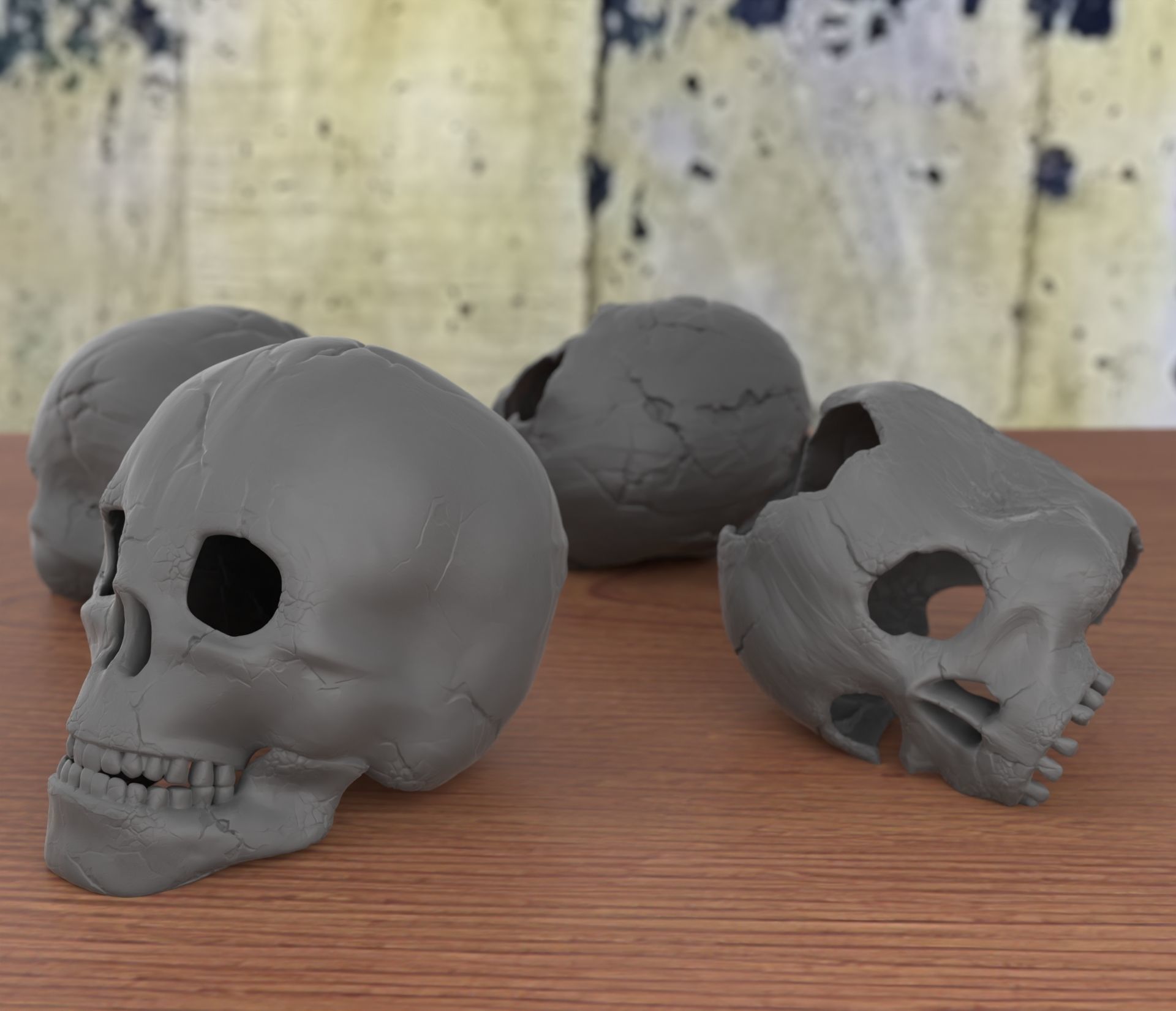4 Different Human Skulls 3D print model_4