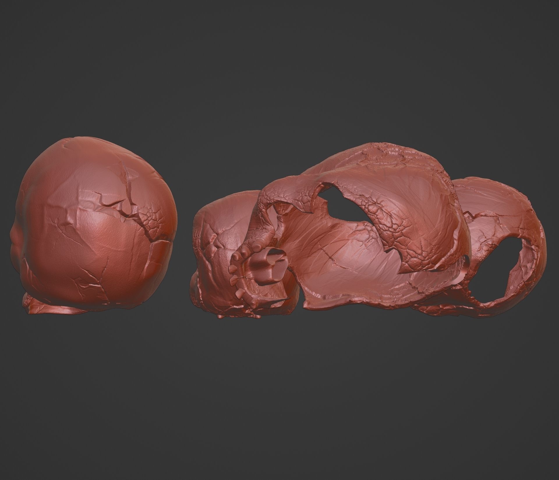 4 Different Human Skulls 3D print model_13