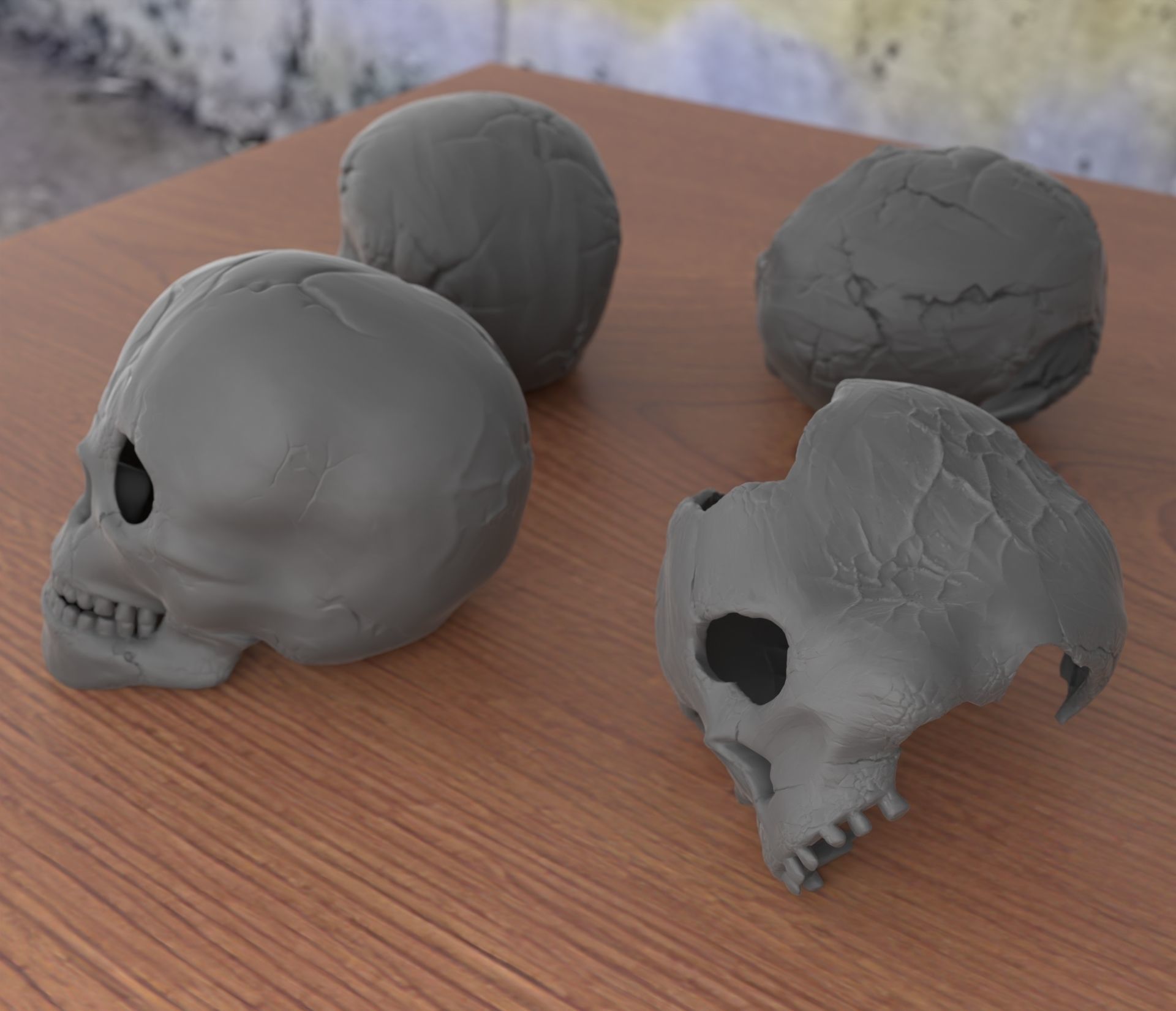 4 Different Human Skulls 3D print model_5