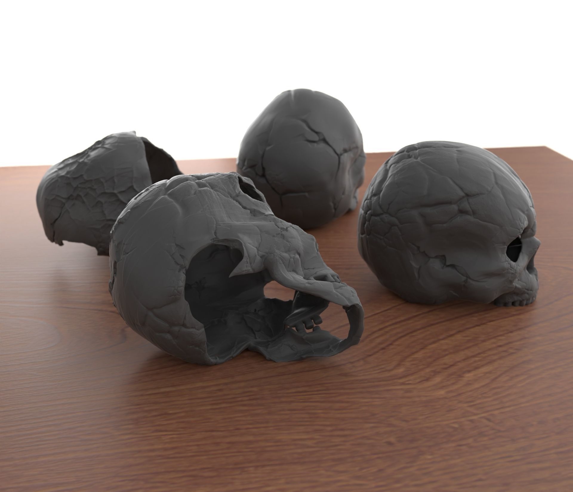 4 Different Human Skulls 3D print model_8