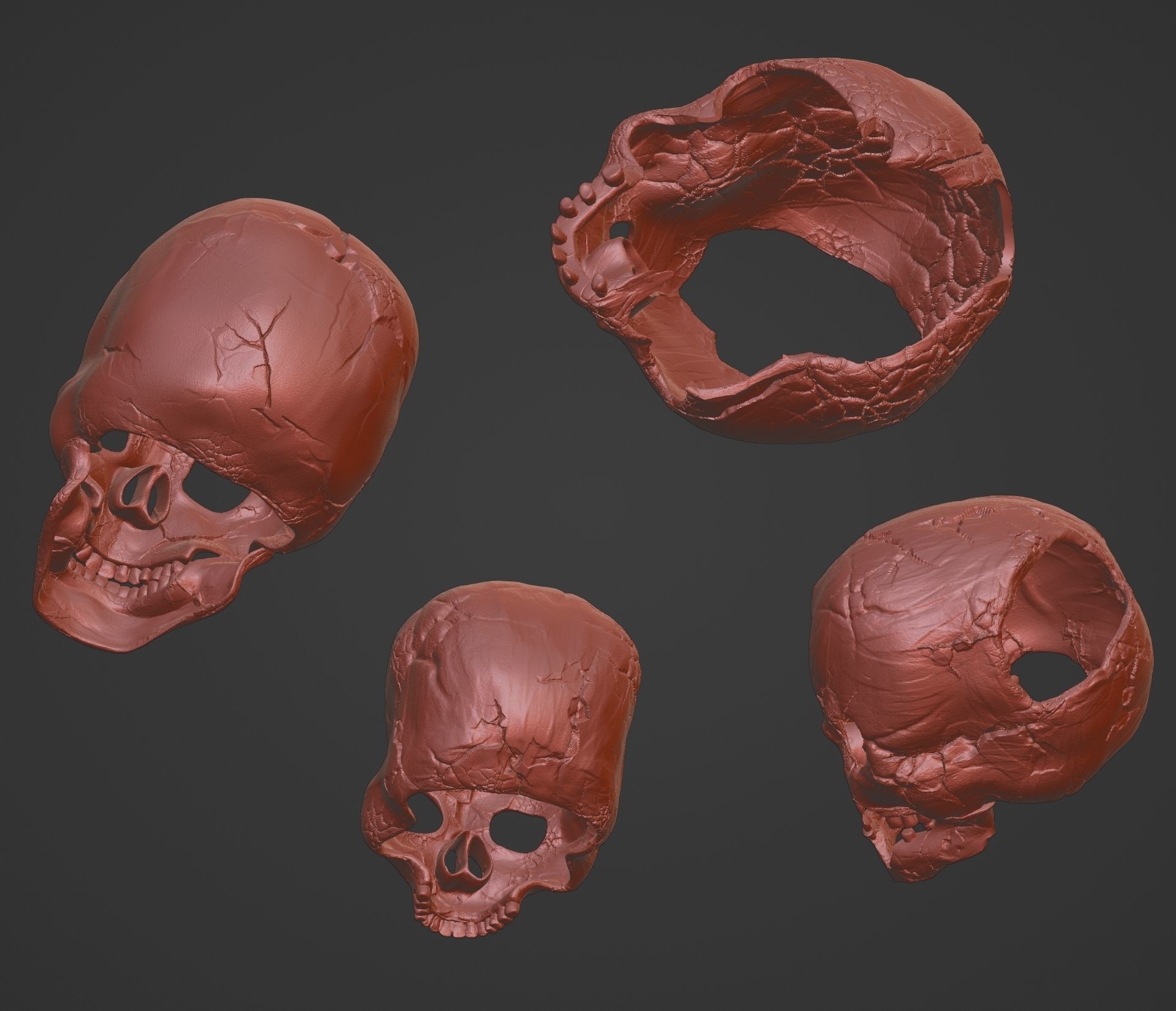 4 Different Human Skulls 3D print model_12