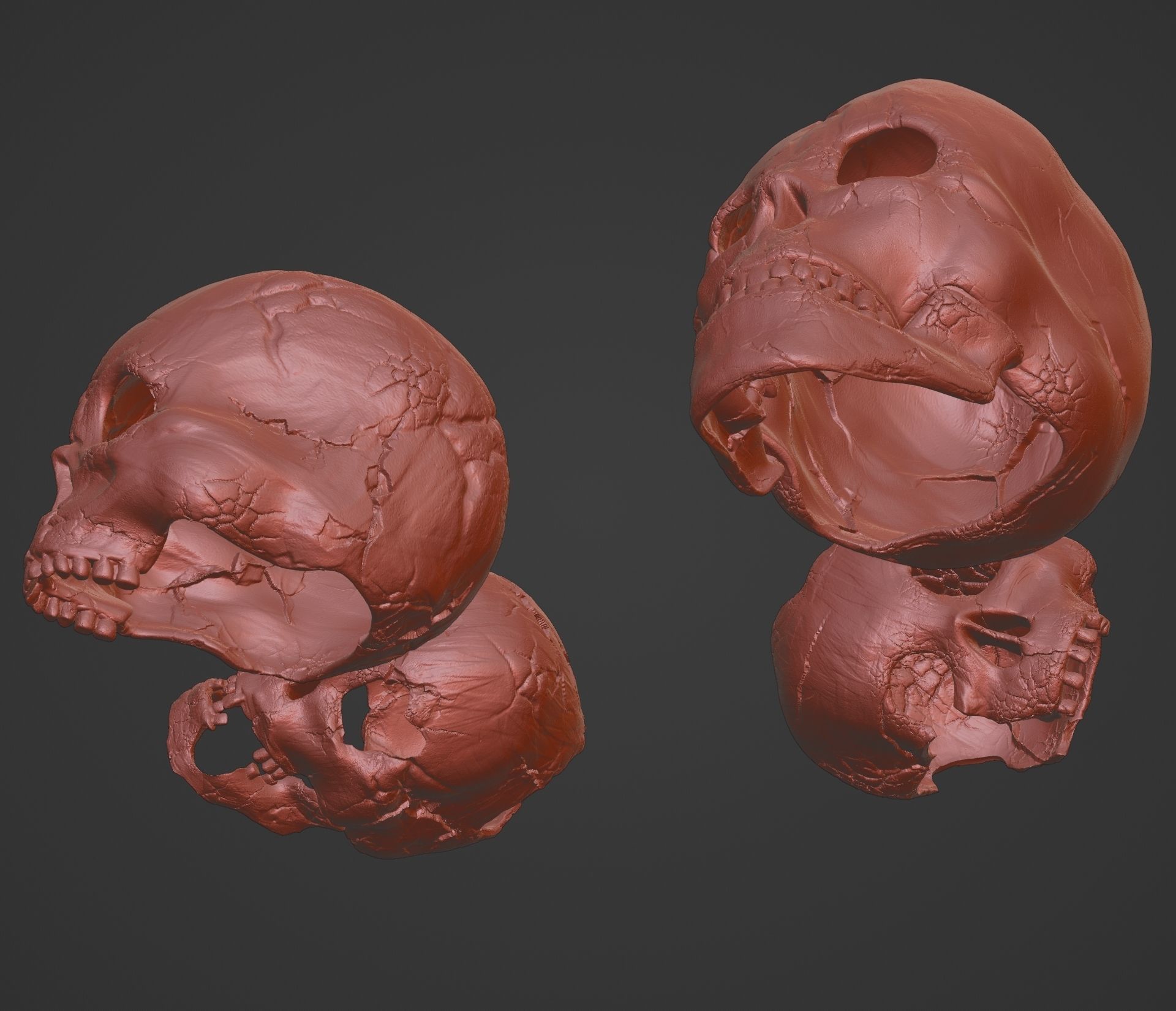 4 Different Human Skulls 3D print model_10