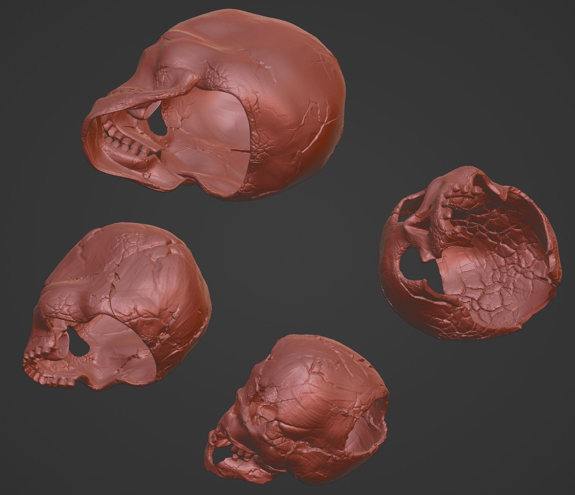 4 Different Human Skulls 3D print model_11