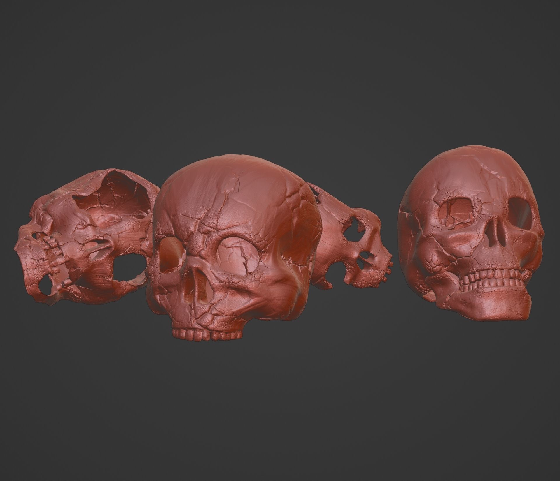 4 Different Human Skulls 3D print model_9
