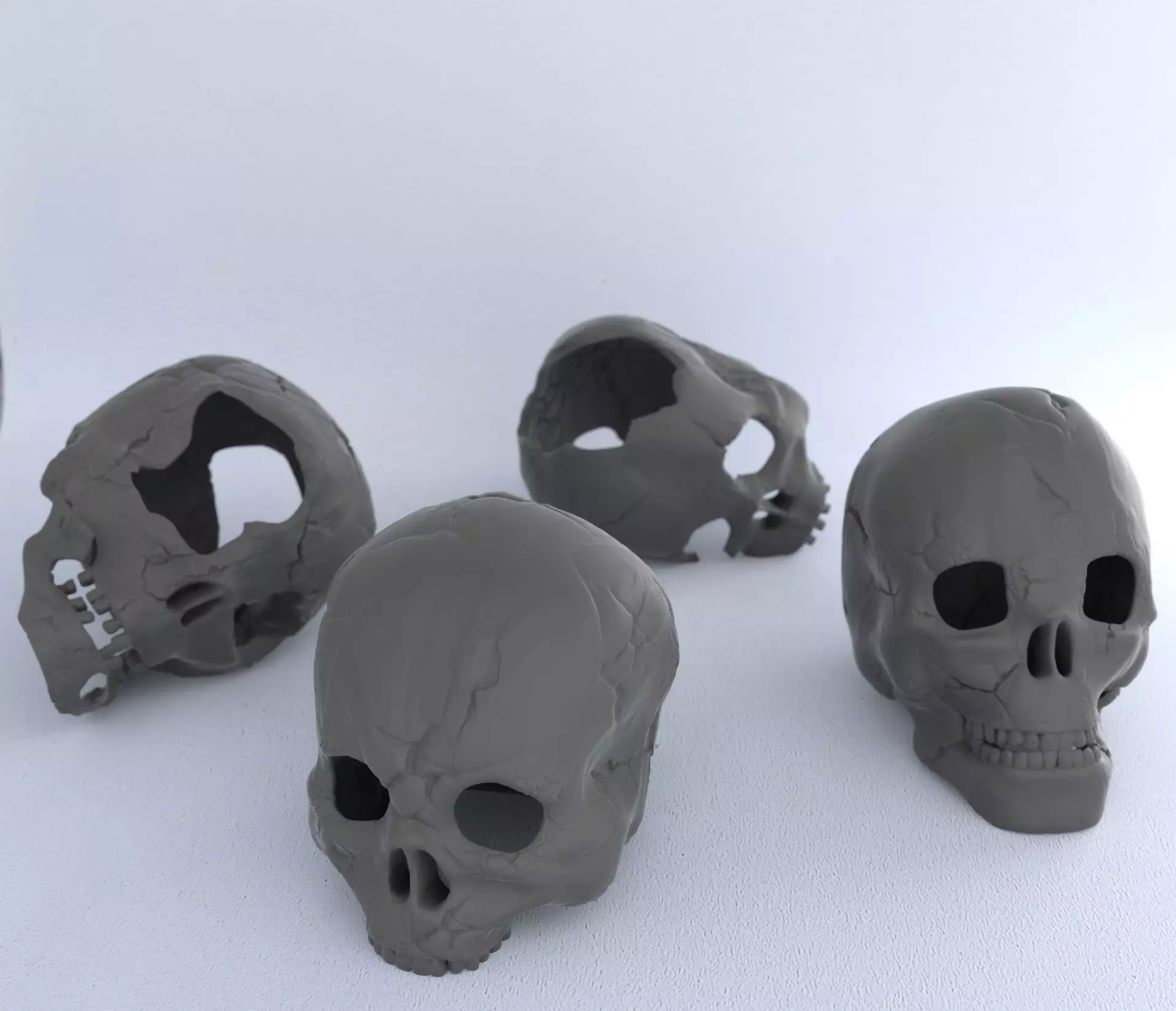4 Different Human Skulls 3D print model_0