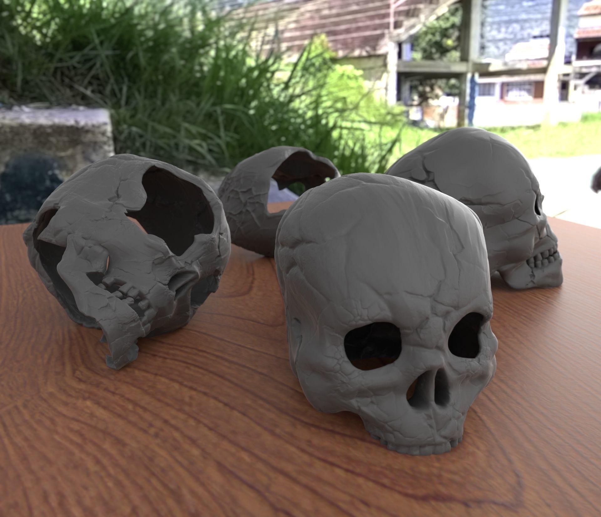 4 Different Human Skulls 3D print model_1