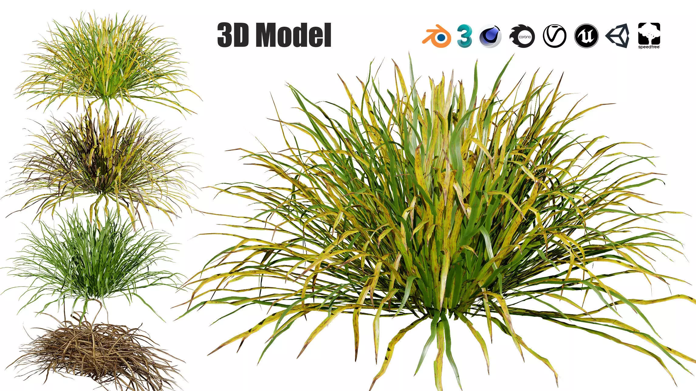 Dwarf Mondo Grass shrubs 3D Pack Low-poly 3D model_0