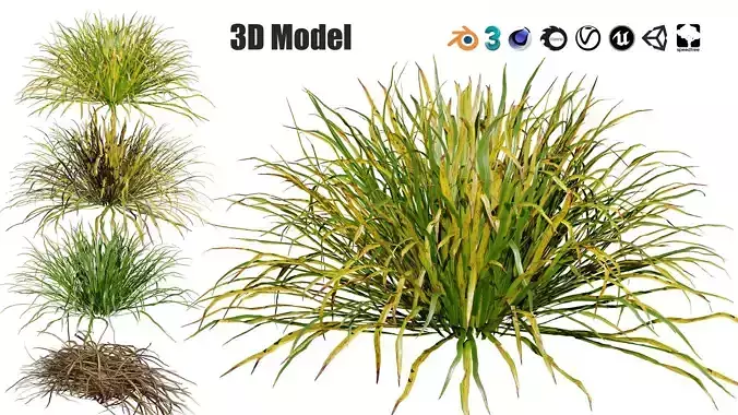 Dwarf Mondo Grass shrubs 3D Pack Low-poly 3D model