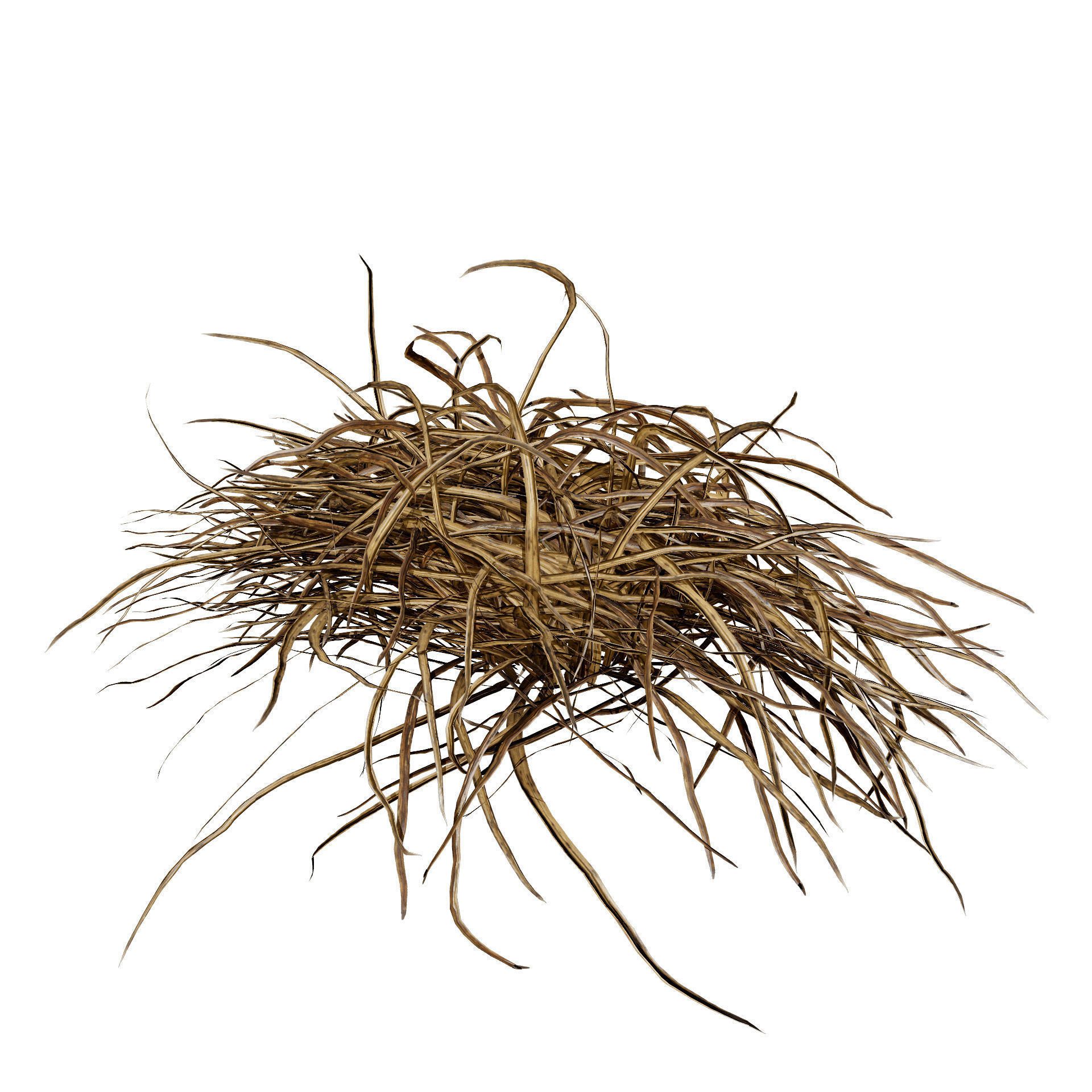 Dwarf Mondo Grass shrubs 3D Pack Low-poly 3D model_8