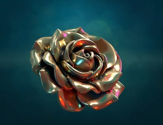 Rose flower i