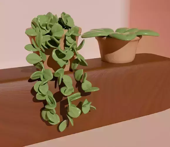 2 Cute little pots with plants