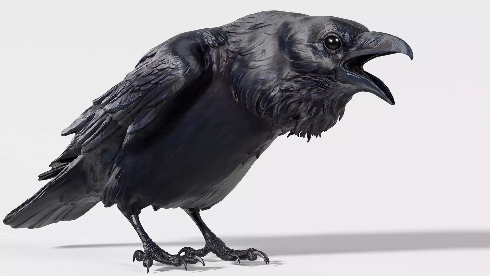 Crow open beak- 3D Sculpting - High Poly 3D print model