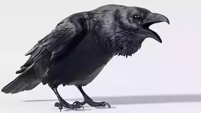 Crow open beak- 3D Sculpting - High Poly 