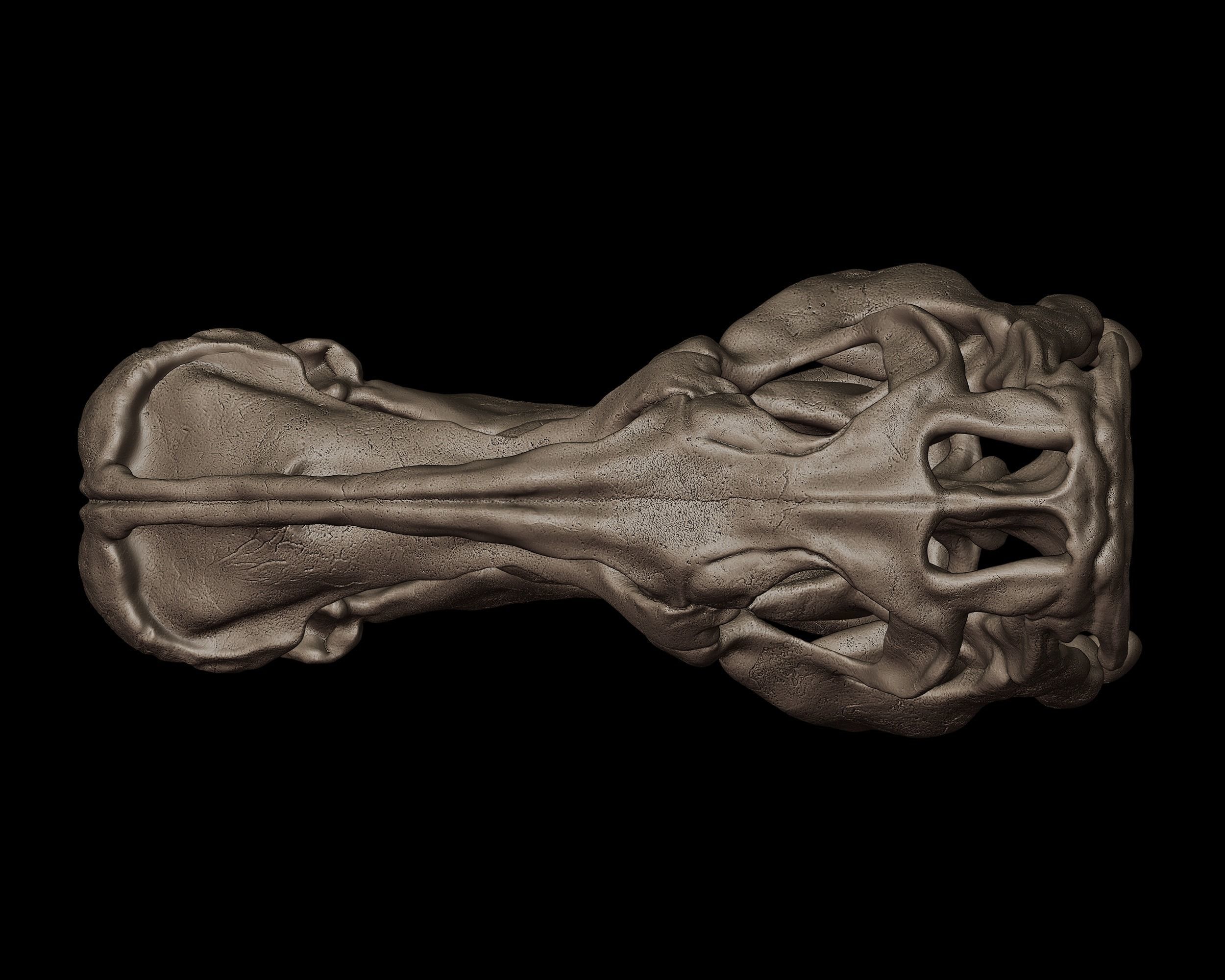 Edmontosaurus Skull 3D print model_4