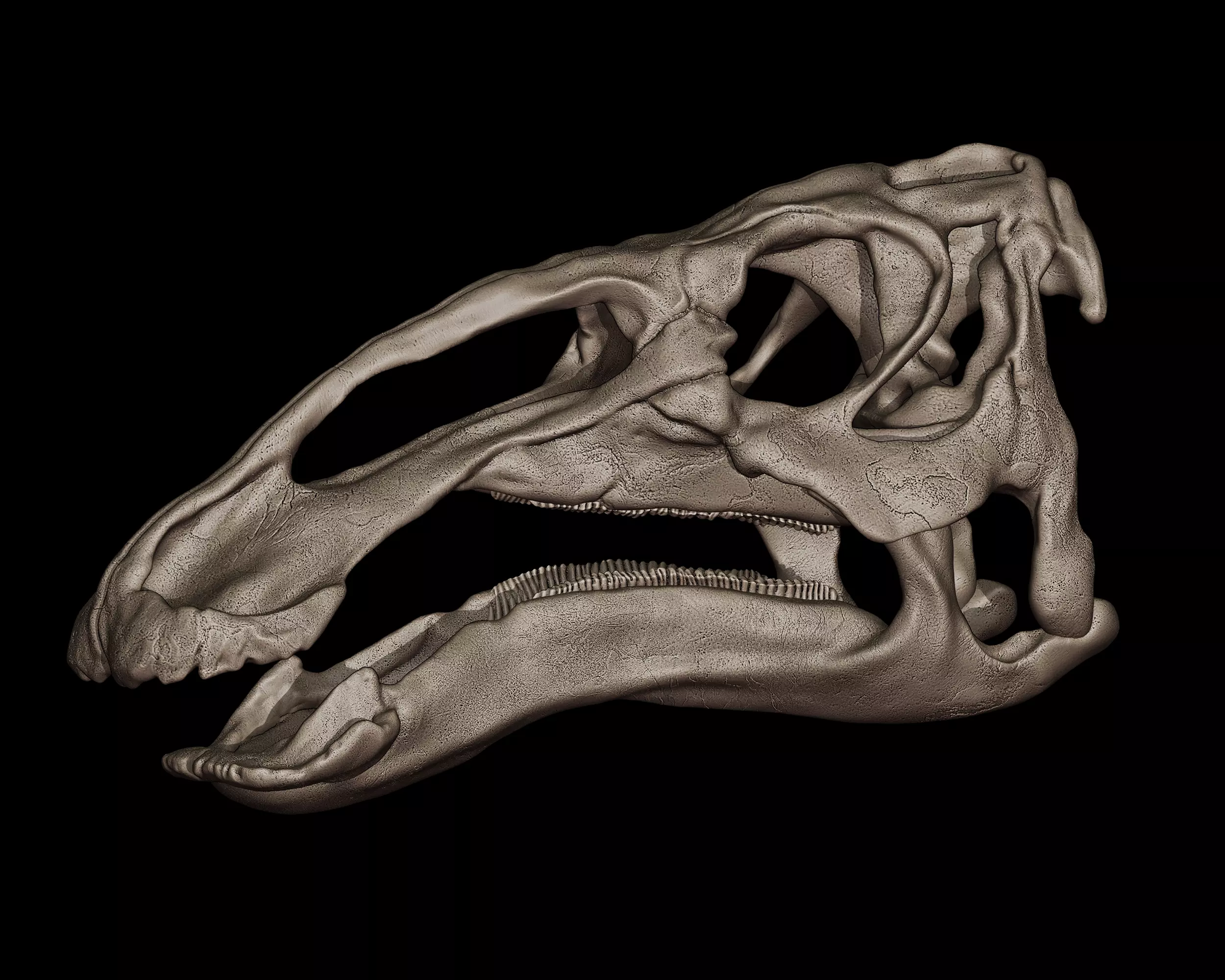 Edmontosaurus Skull 3D print model_0