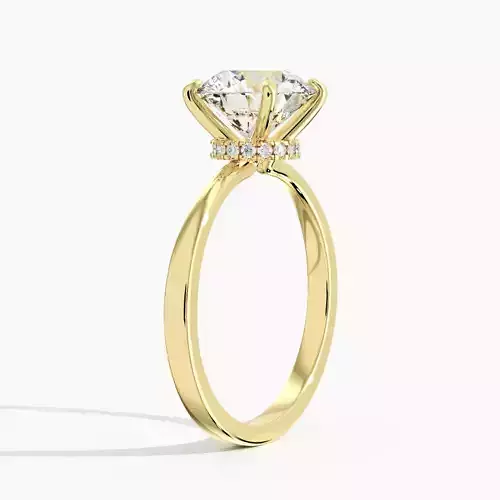 Secret Halo Diamond Engagement Ring 0022