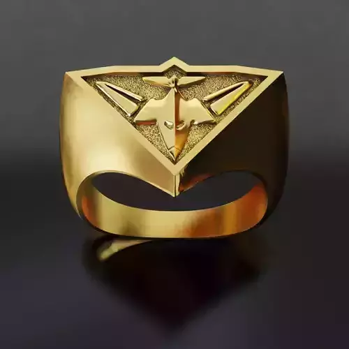 Essendon Australia Football Fans 3D print model 3D print model