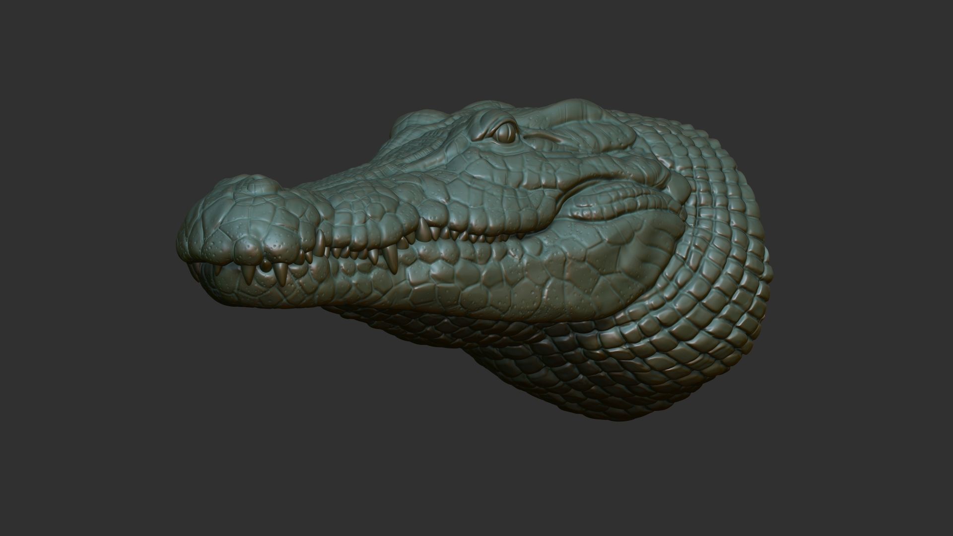 Crocodile bust 3D print model_1