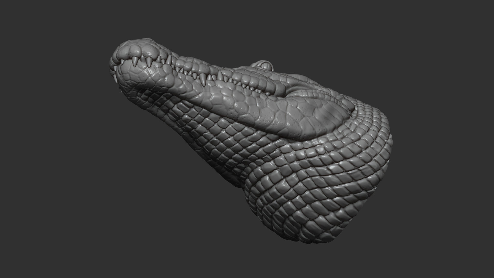 Crocodile bust 3D print model_11