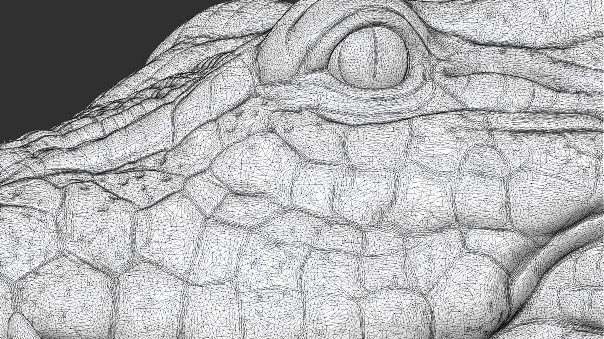 Crocodile bust 3D print model_28